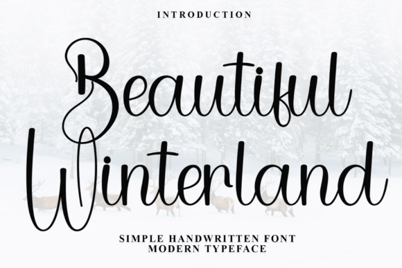 Beautiful Winterland Font for Modern Web Design