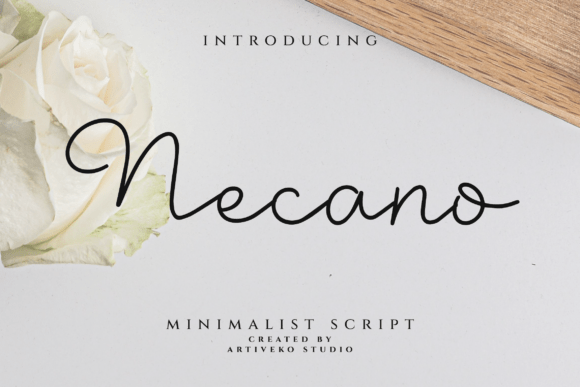 Upgrade Your Brand with the Necano Script Font